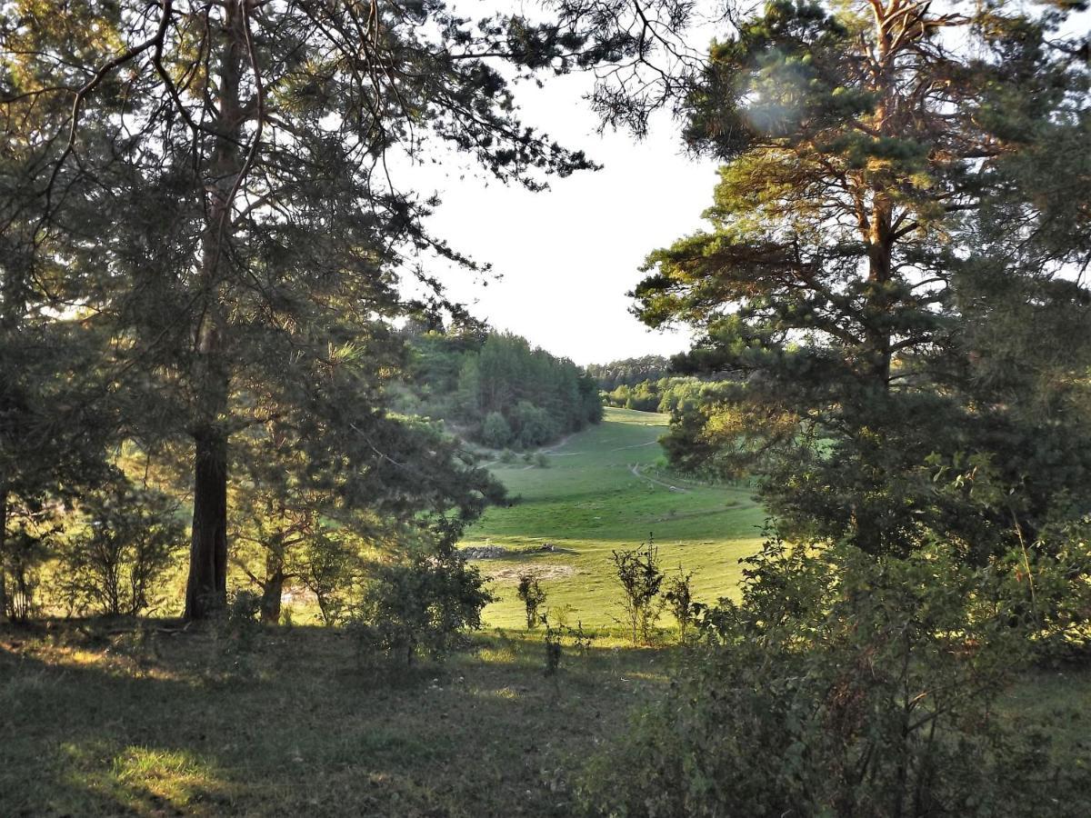 Agroturystyka Dolina23 Villa Piaski Dış mekan fotoğraf